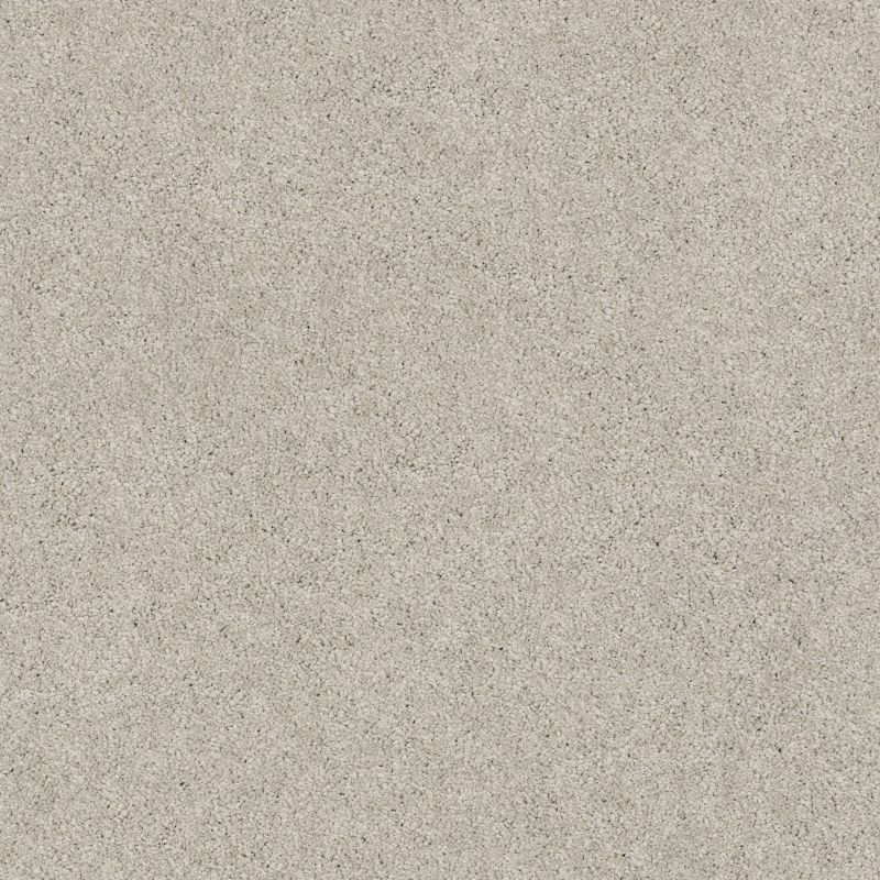 Shaw Floors Caress By Shaw Cashmere Classic II Net Froth