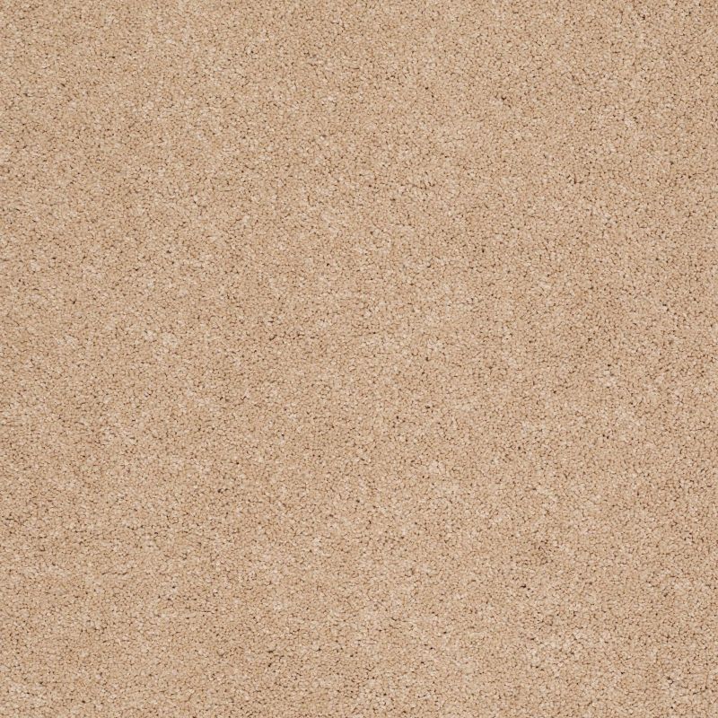 Shaw Floors Caress By Shaw Cashmere Classic II Net Maplewood North