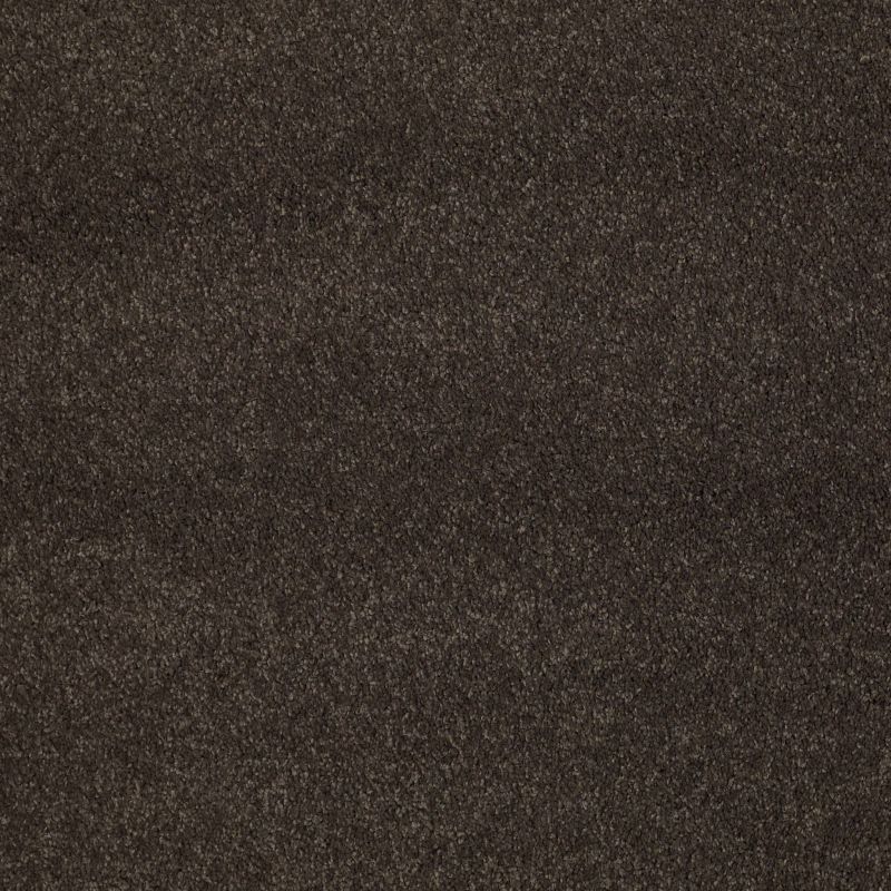 Shaw Floors Caress By Shaw Cashmere Classic II Net Chestnut