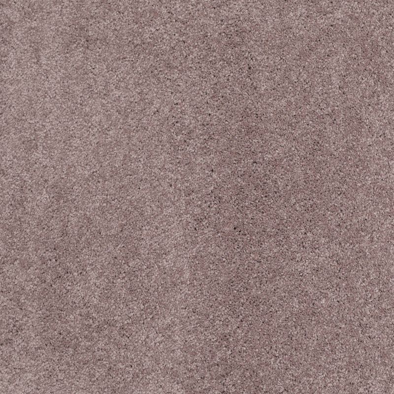 Shaw Floors Caress By Shaw Cashmere Classic II Net Heather