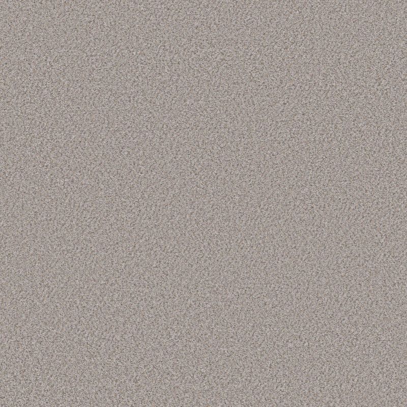 Shaw Floors Simply The Best Boundless I Net White Wash