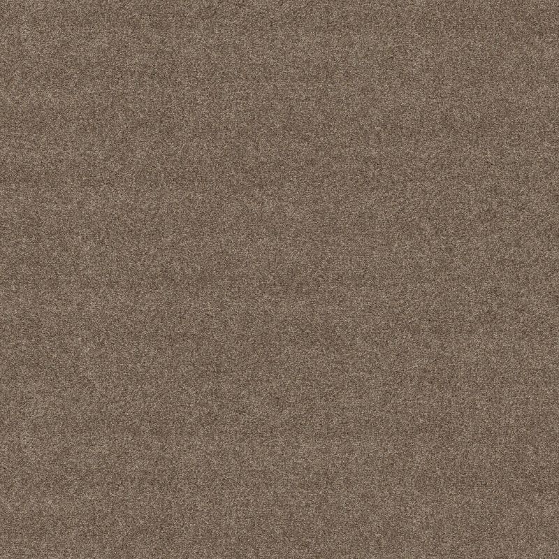Shaw Floors Simply The Best Boundless II Net Treasure Trove