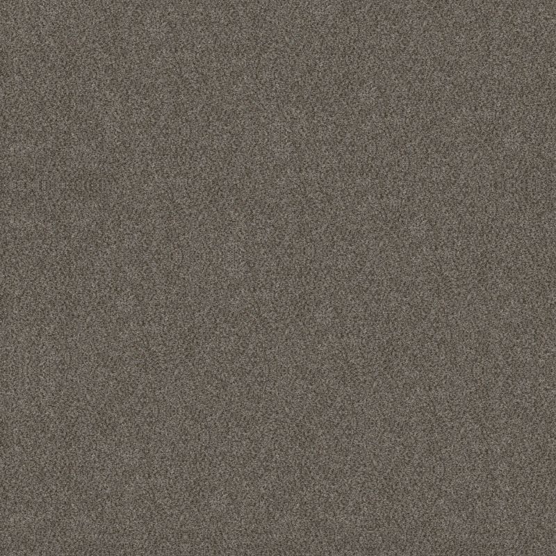 Shaw Floors Simply The Best Boundless II Net Slate Stone