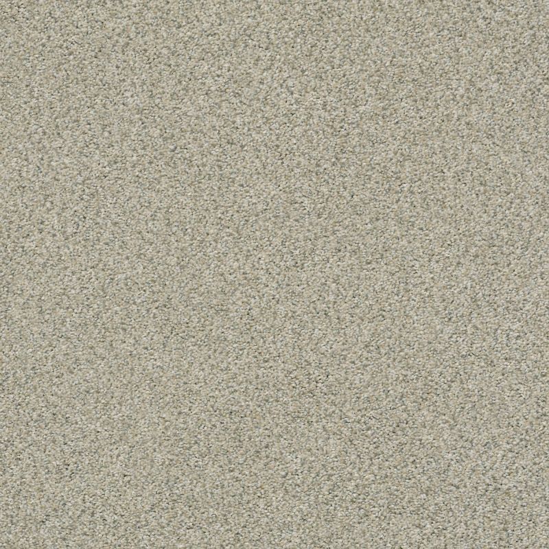 Shaw Floors Simply The Best Boundless II Net Creamery