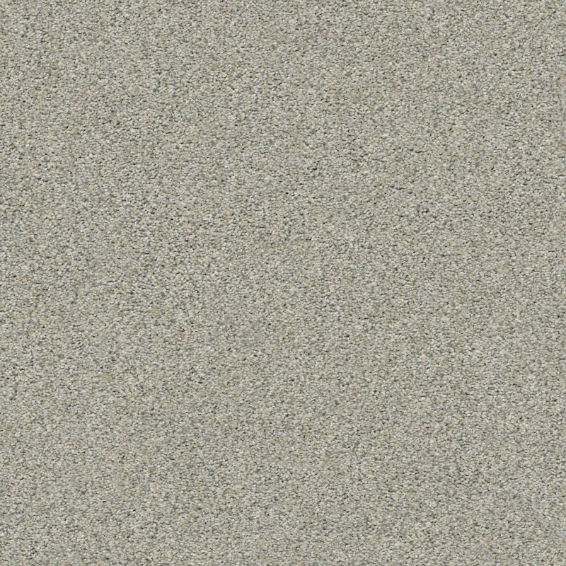 Shaw Floors Simply The Best Boundless II Net Soft Breeze