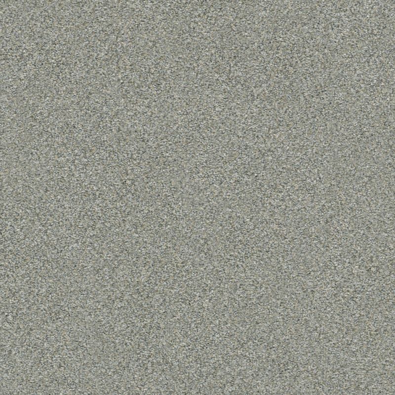 Shaw Floors Simply The Best Boundless II Net Distant Star