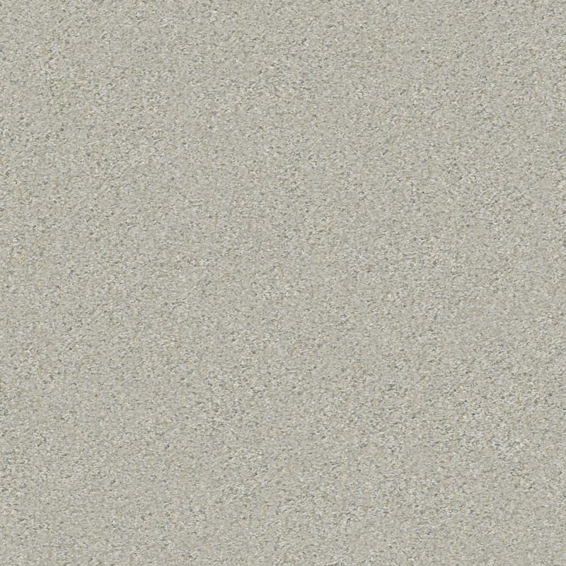 Shaw Floors Simply The Best Boundless II Net Reflection