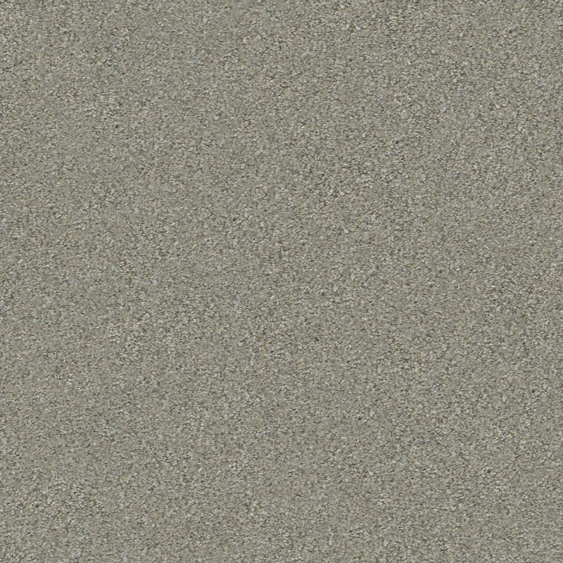 Shaw Floors Simply The Best Boundless III Net Dreamscape