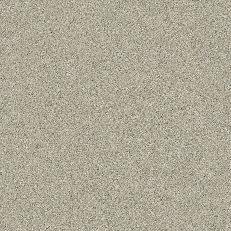 Shaw Floors Simply The Best Boundless Iv Net Creamery