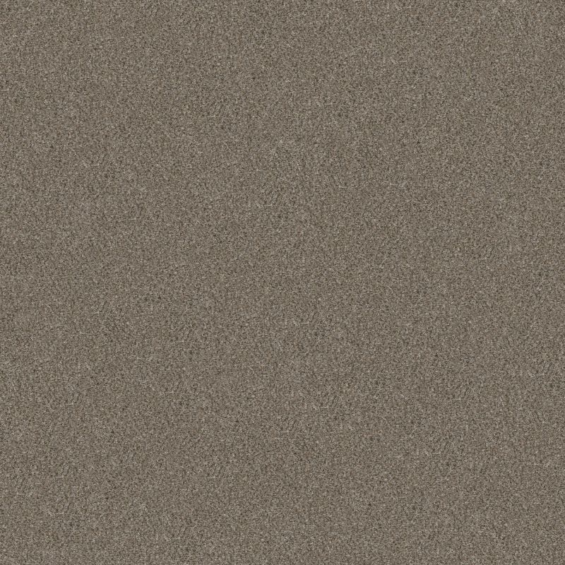 Shaw Floors Simply The Best Without Limits I Net Saddle Tan