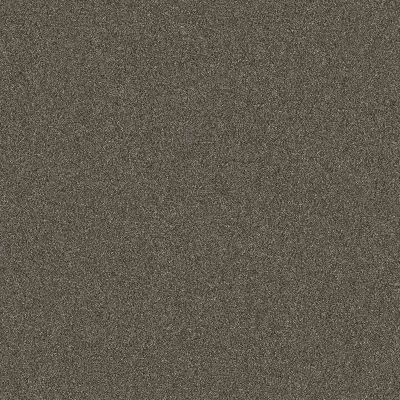 Shaw Floors Simply The Best Without Limits I Net Boardwalk