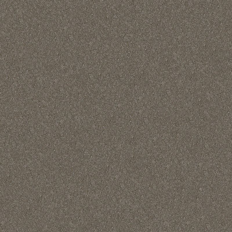 Shaw Floors Simply The Best Without Limits II Net Travatan