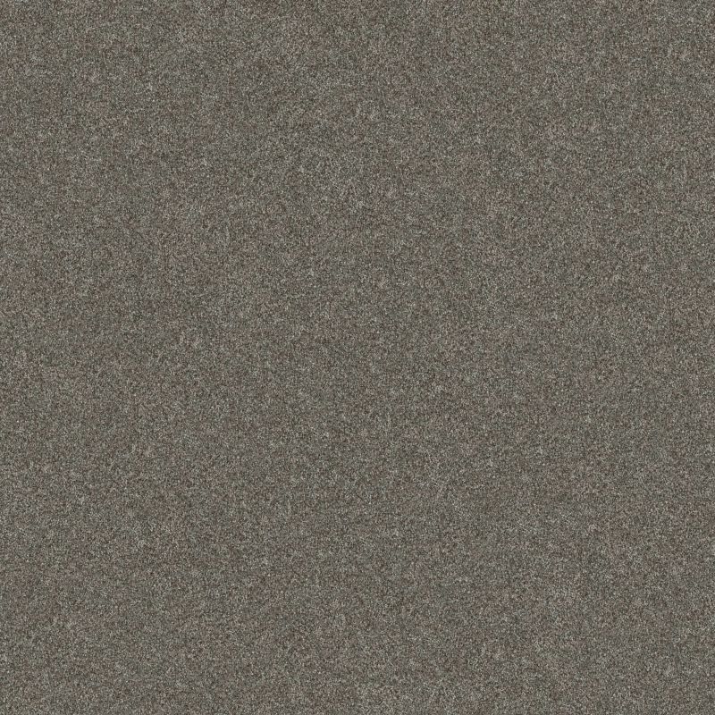 Shaw Floors Simply The Best Without Limits III Net Organic