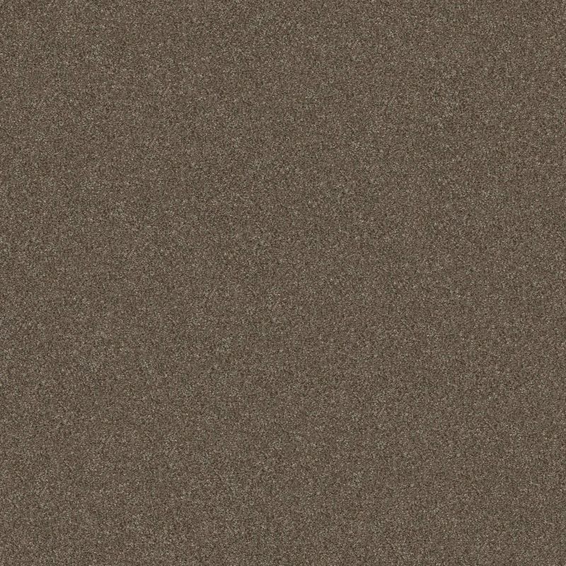 Shaw Floors Simply The Best Without Limits III Net Bountiful