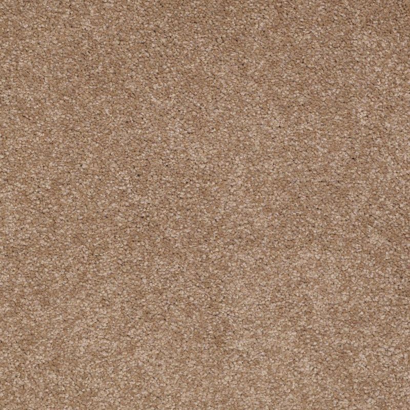 Shaw Floors Value Collections Sandy Hollow Cl II Net Mojave