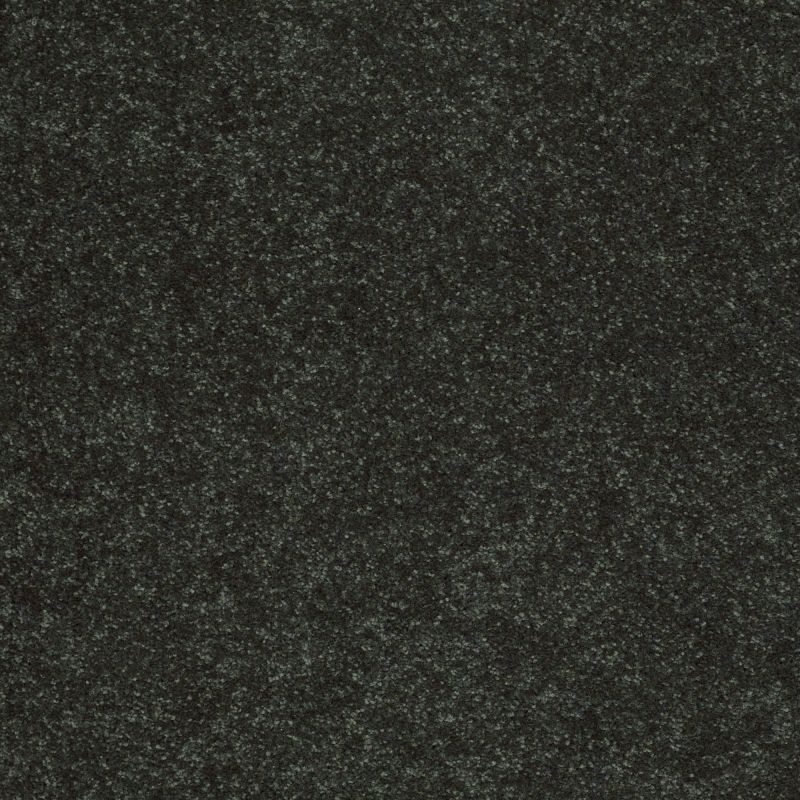 Shaw Floors Value Collections Sandy Hollow Cl II Net Lilly Pad