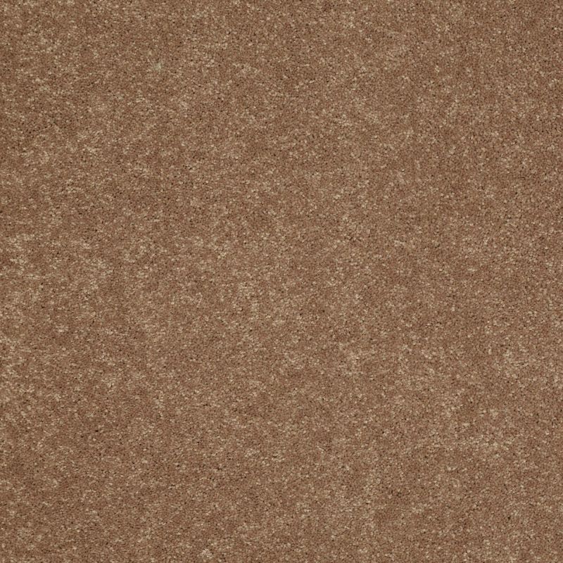 Shaw Floors Value Collections Sandy Hollow Cl II Net Windmill