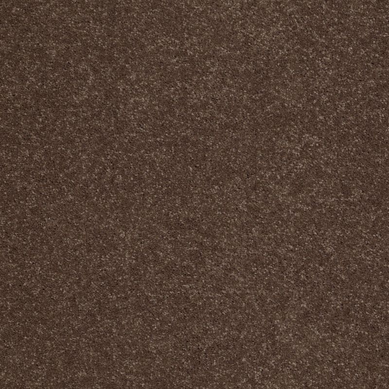 Shaw Floors Value Collections Sandy Hollow Cl II Net Wooden Box