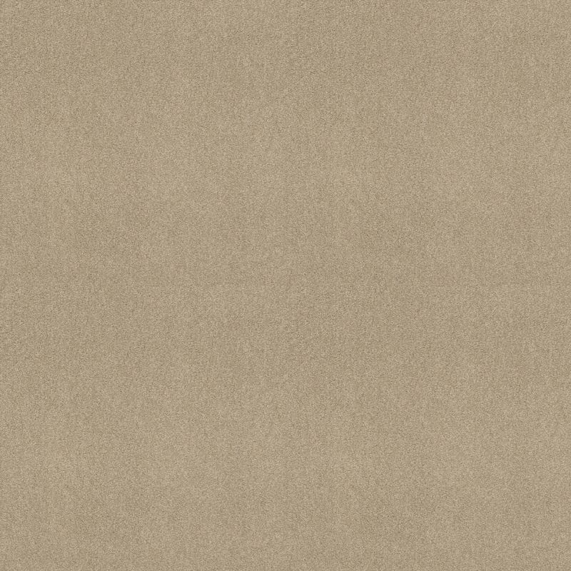 Shaw Floors Value Collections Sandy Hollow Cl III Net Oatmeal