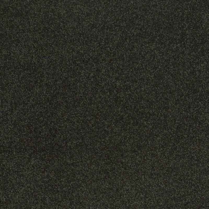 Shaw Floors Value Collections Sandy Hollow Cl III Net Lilly Pad
