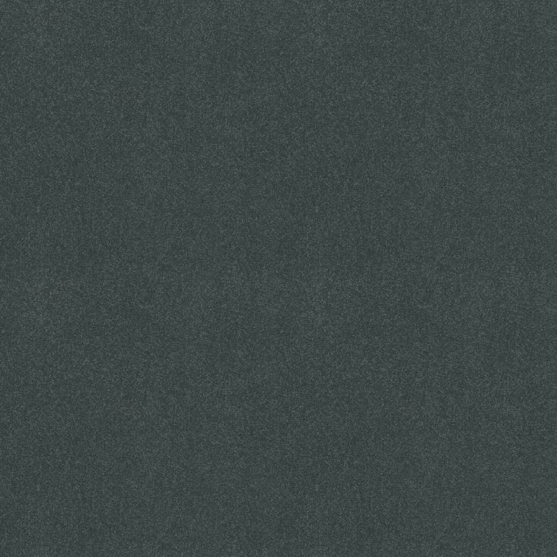 Shaw Floors Value Collections Sandy Hollow Cl III Net Cadet