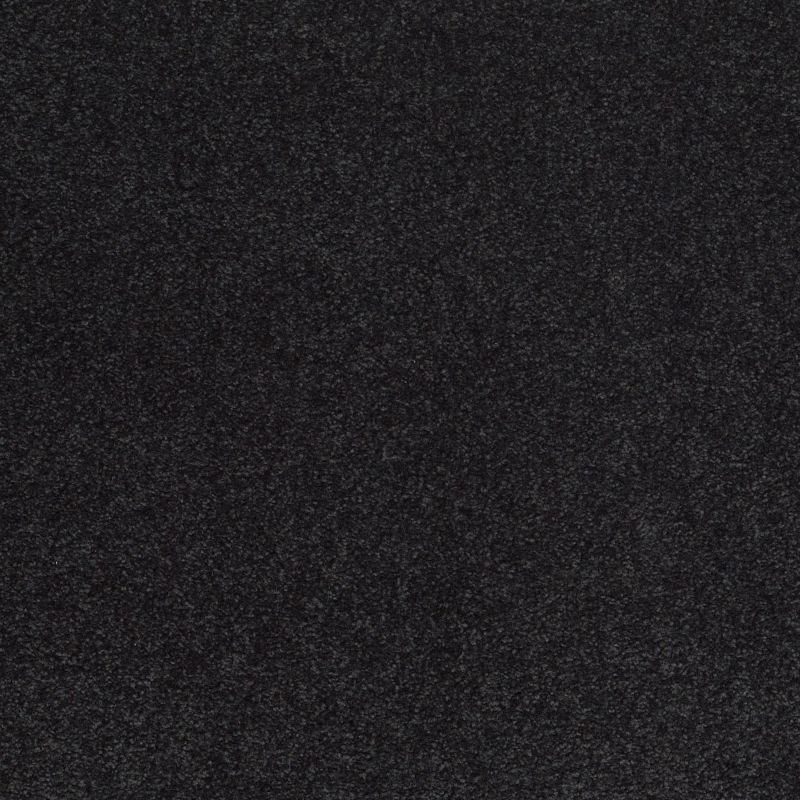 Shaw Floors Value Collections Sandy Hollow Cl III Net Deep Sea