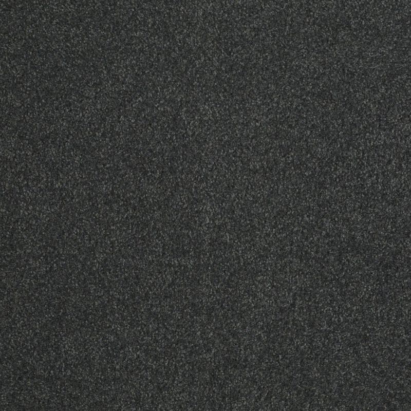 Shaw Floors Value Collections Sandy Hollow Cl III Net Lagoon