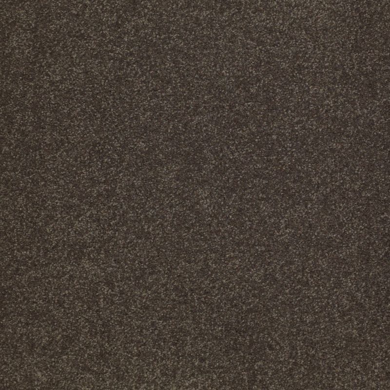 Shaw Floors Value Collections Sandy Hollow Cl III Net Arrowhead