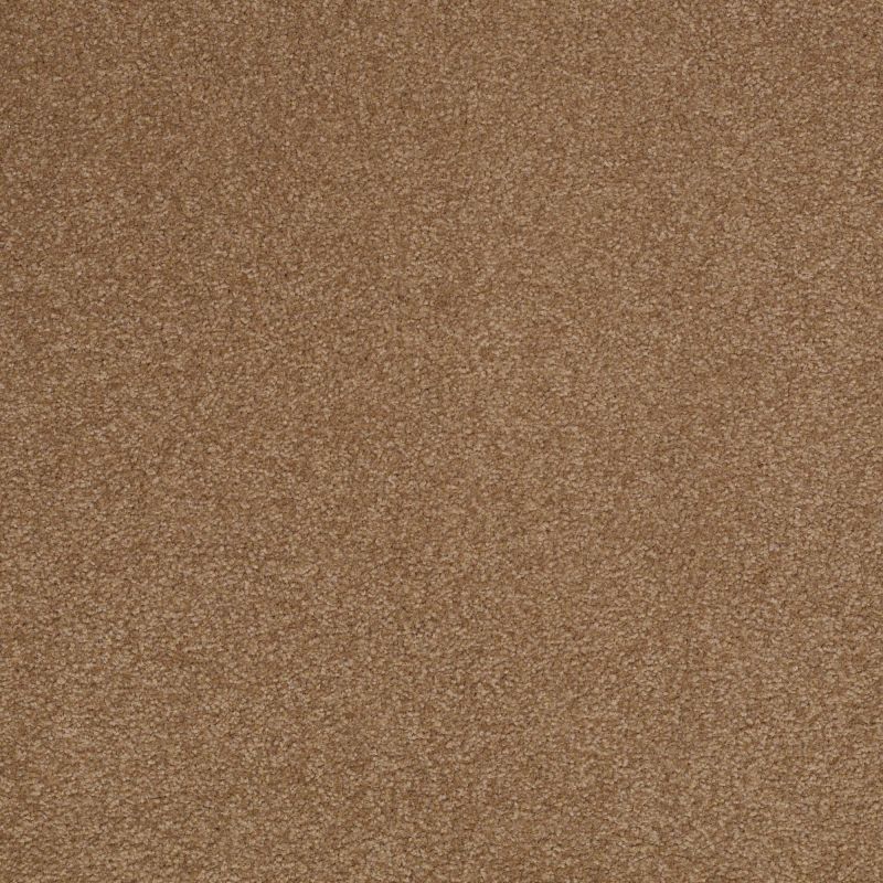 Shaw Floors Value Collections Sandy Hollow Cl III Net Windmill