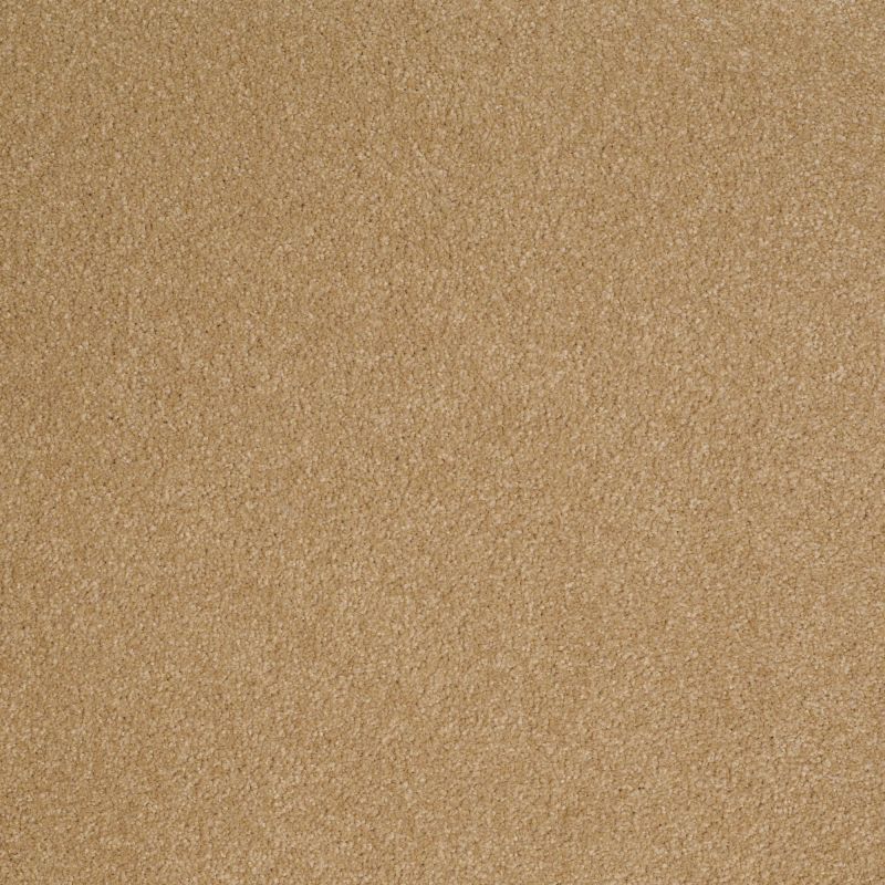 Shaw Floors Value Collections Sandy Hollow Cl III Net Cork