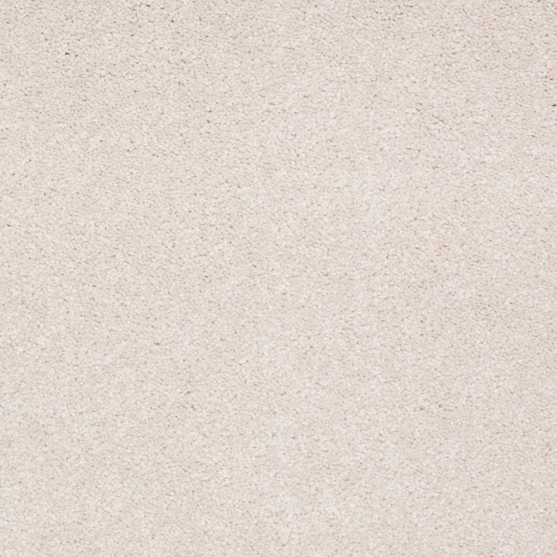 Shaw Floors Value Collections Sandy Hollow Cl Iv Net Pudding