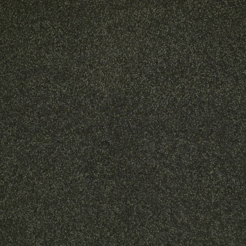 Shaw Floors Value Collections Sandy Hollow Cl Iv Net Lilly Pad