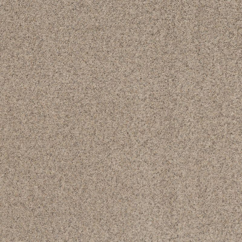 Shaw Floors Value Collections Work It Out Net Shell Island