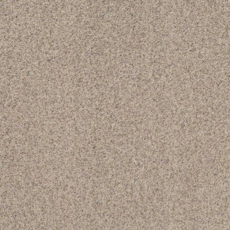 Shaw Floors Value Collections Work It Out Net Moonwalk