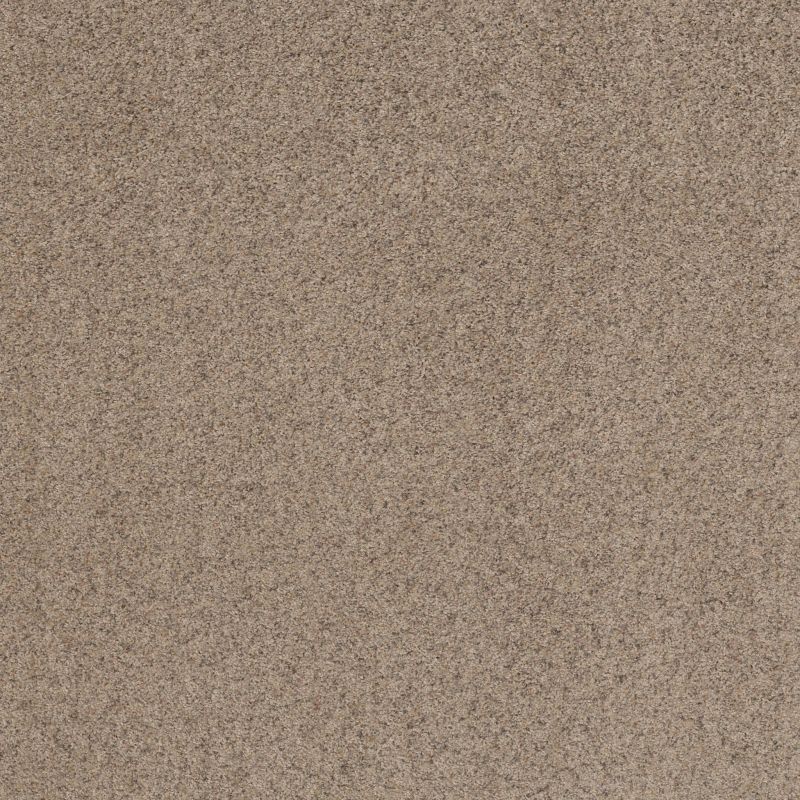 Shaw Floors Value Collections Work It Out Net Sweet Tea