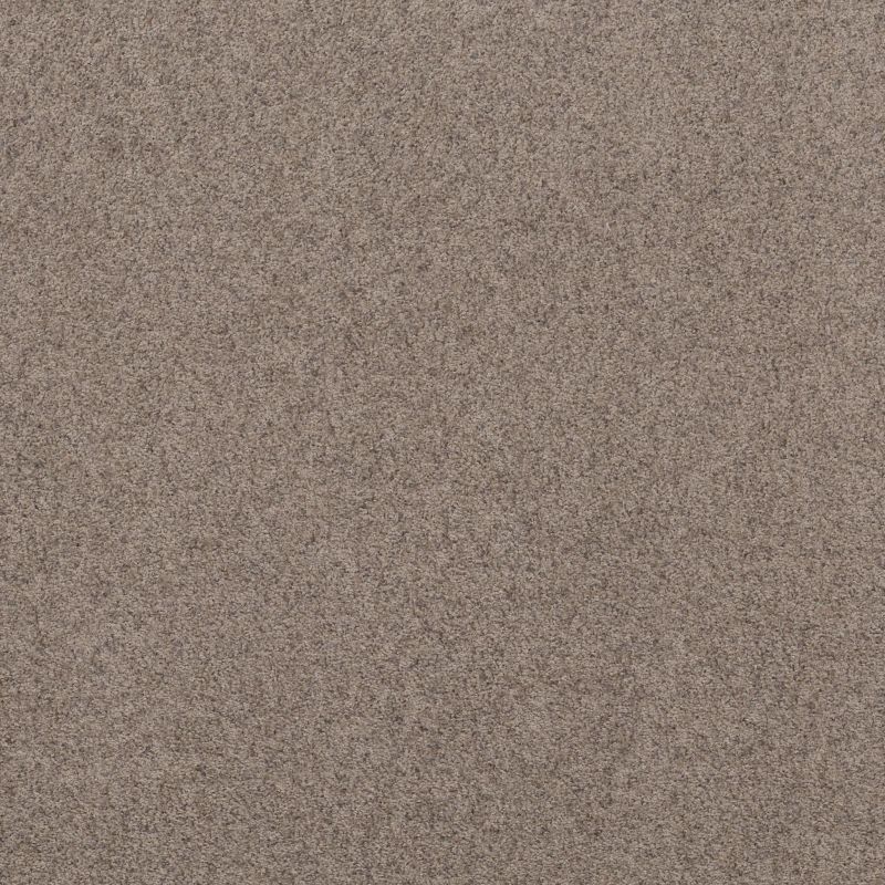 Shaw Floors Value Collections Work It Out Net Frosted Mocha