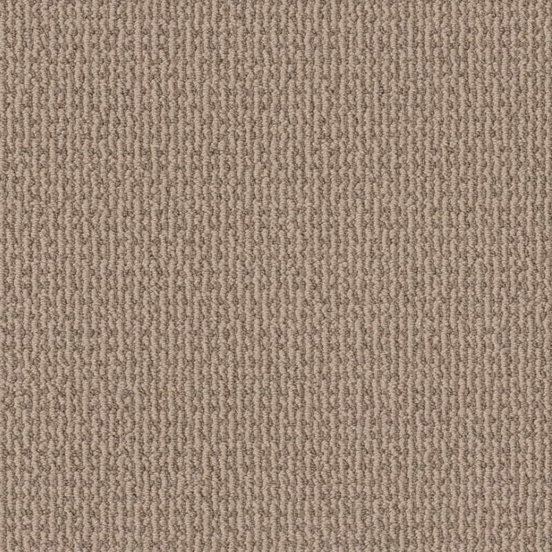 Shaw Floors Pet Perfect Plus Crafted Embrace Net Beige Bisque