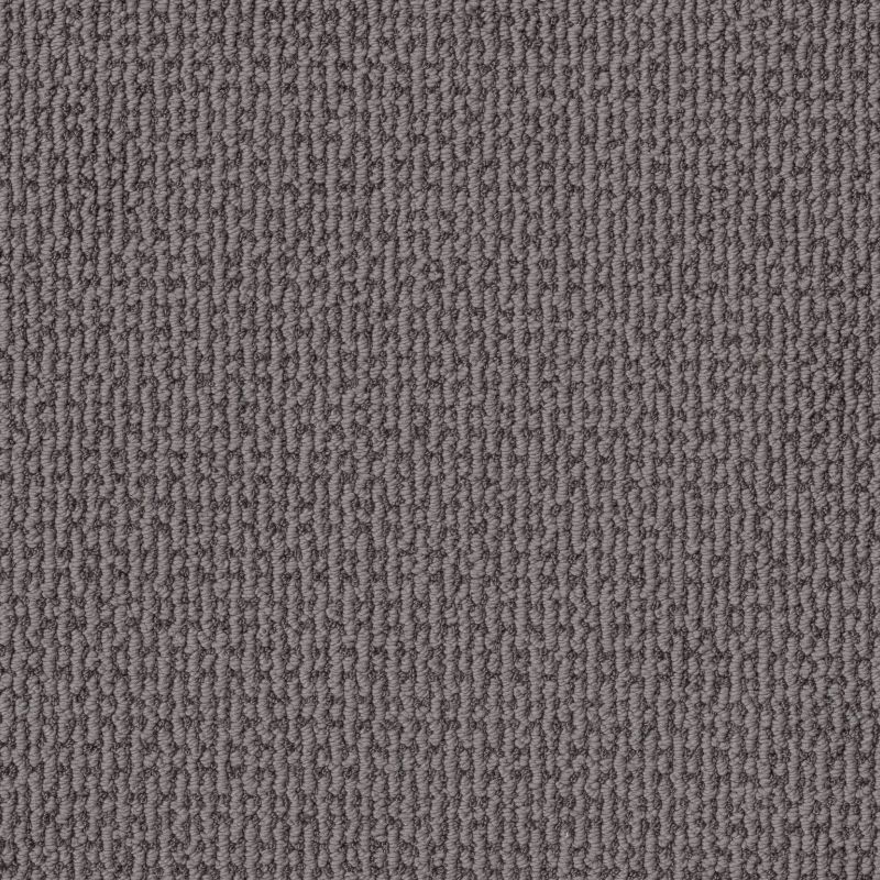 Shaw Floors Pet Perfect Plus Crafted Embrace Net Dolphin