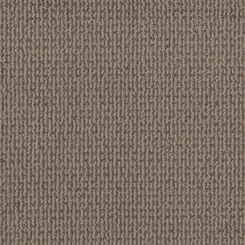 Shaw Floors Pet Perfect Plus Crafted Embrace Net Raw Wood