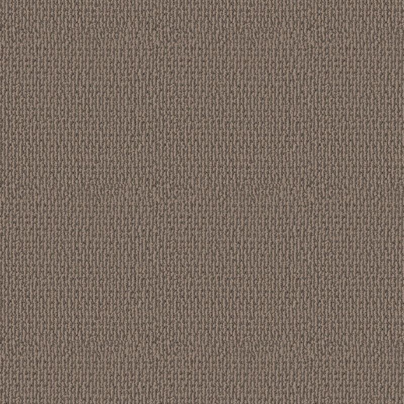 Shaw Floors Pet Perfect Plus Crafted Embrace Net Chestnut