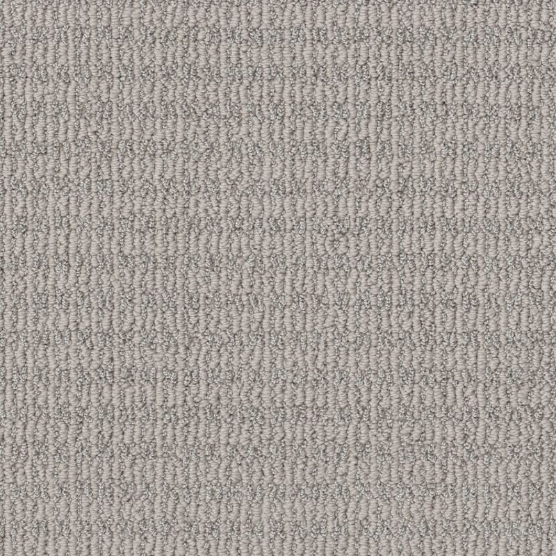 Shaw Floors Pet Perfect Plus Chic Elevation Net Sentimental