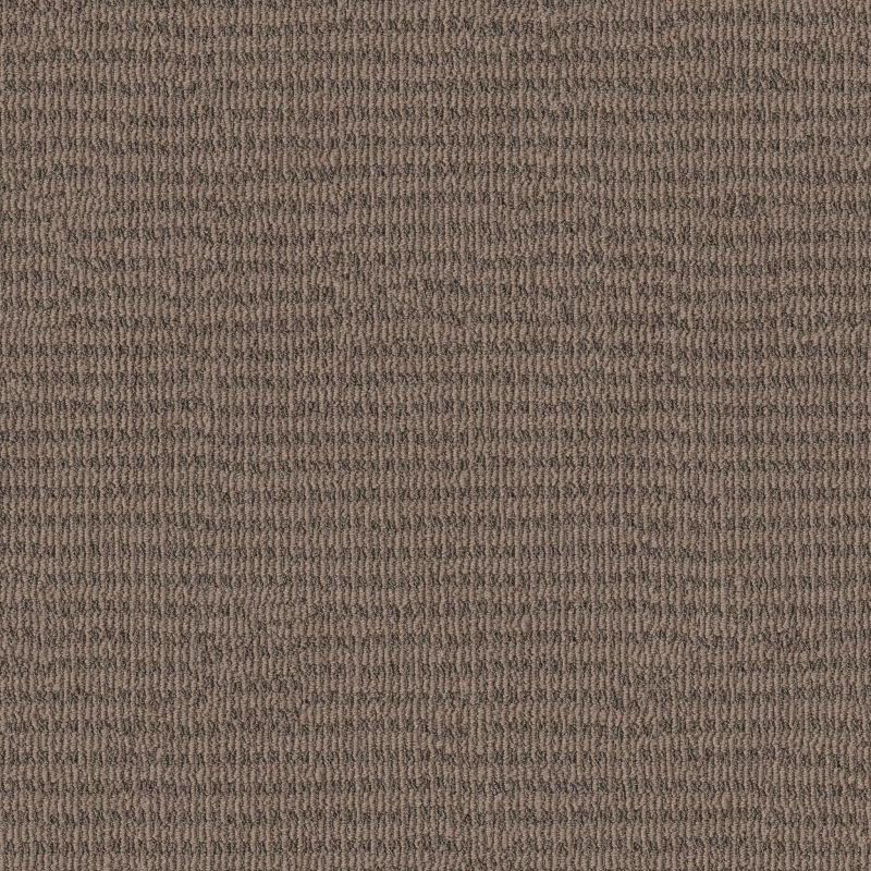 Shaw Floors Pet Perfect Plus Chic Elevation Net Chestnut