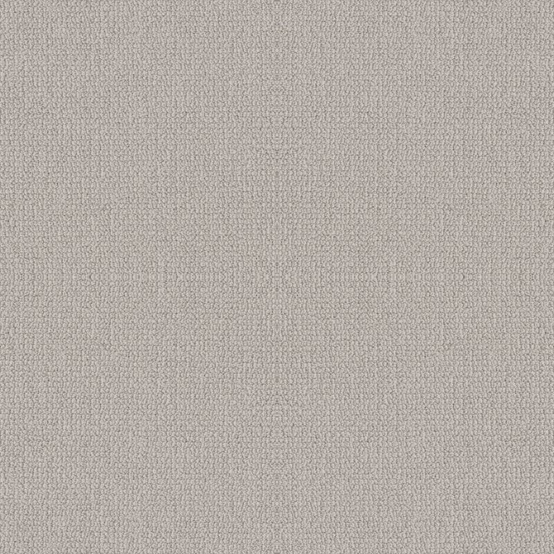 Shaw Floors Value Collections Embellished Net Aircraft