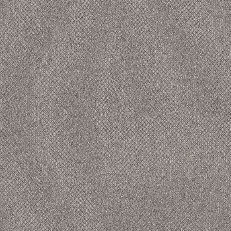 Shaw Floors Value Collections Embellished Net Cathedral
