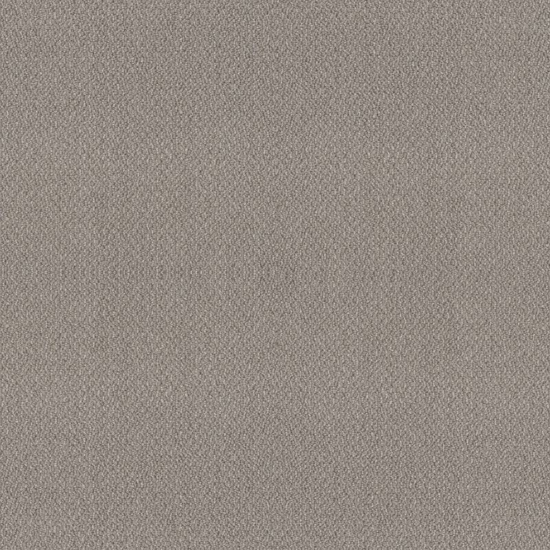 Shaw Floors Value Collections Embellished Net Asteroid