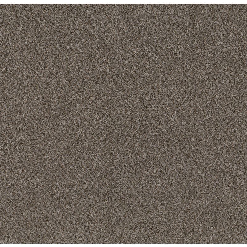Shaw Floors Mix'd Essentials Raven(b)