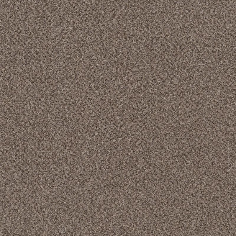 Shaw Floors Mix'd Essentials Burro Brown(a)