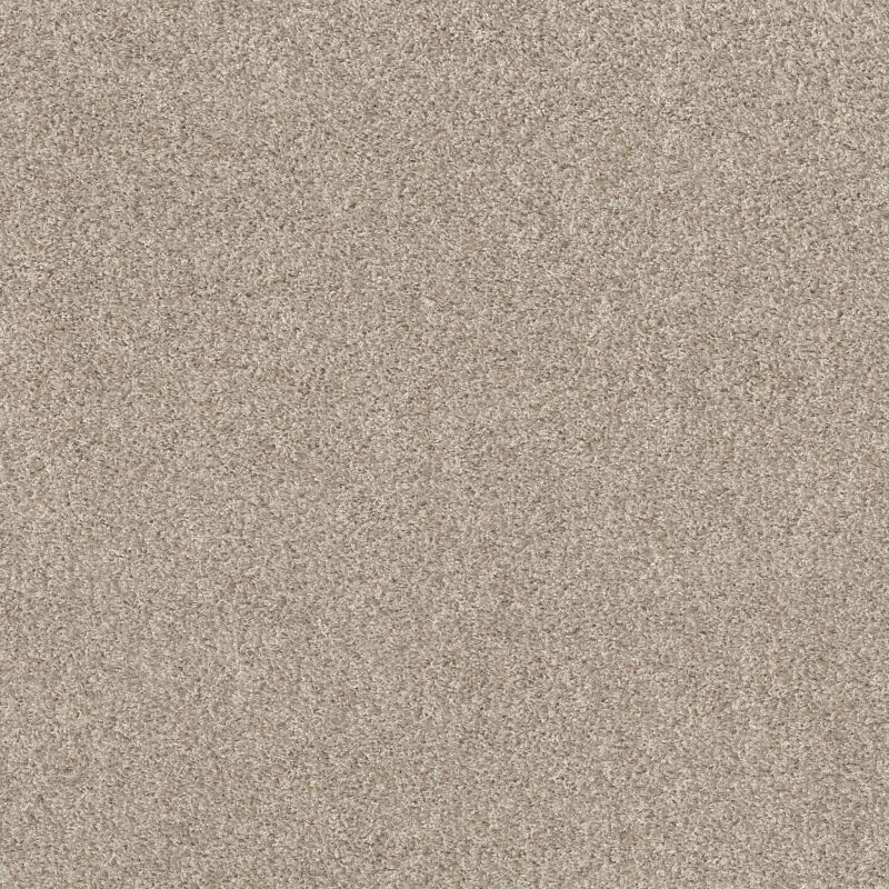 Shaw Floors Spirited Artists Canvas