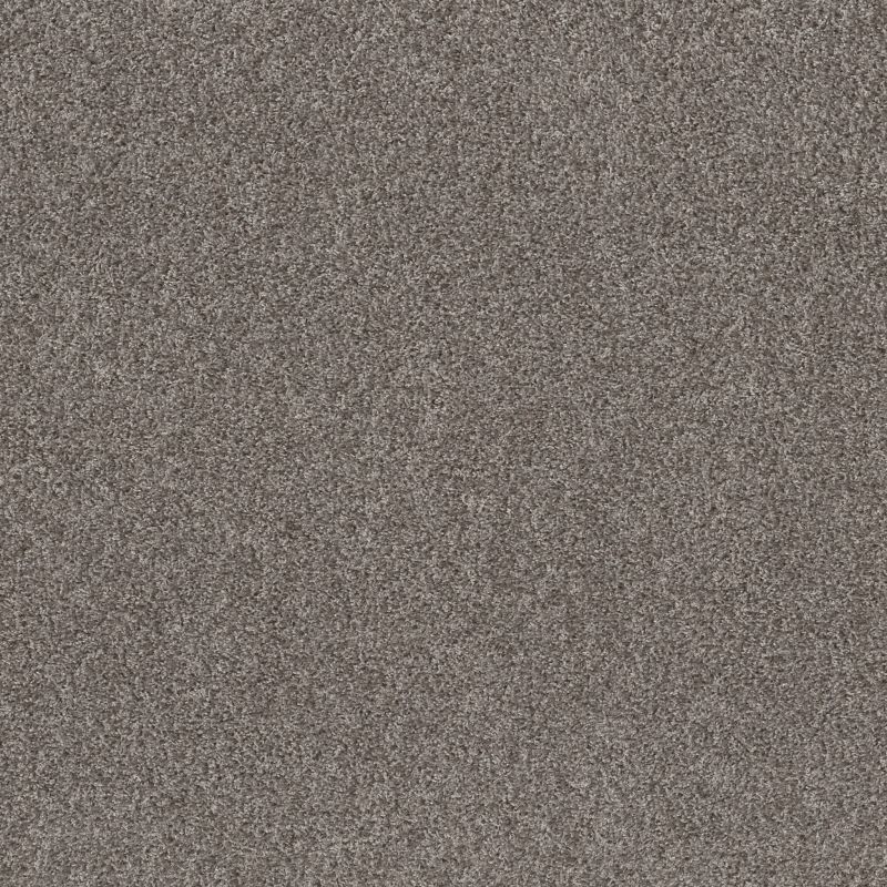 Shaw Floors Spirited Rainstorm