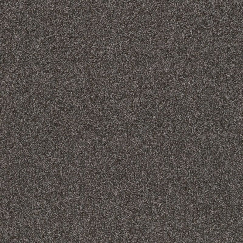 Shaw Floors Spirited Galvanized Grey